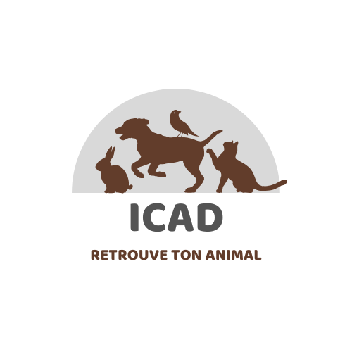 Projet ICAD